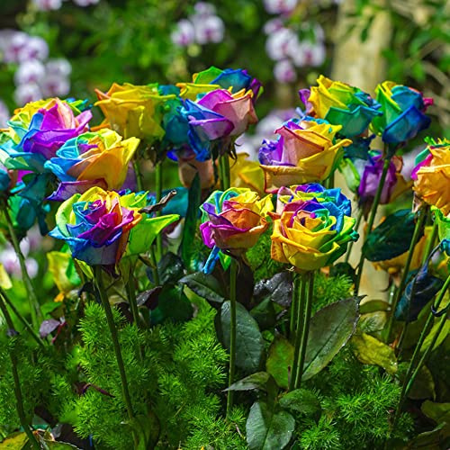 semillas de rosal trepador - semillas de perennes resistentes resistentes para el jardín balcón jardín 20pcs