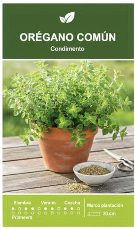 DECOALIVE | Cultiva Orégano en Casa con Semillas Premium para Jardín y Balcón