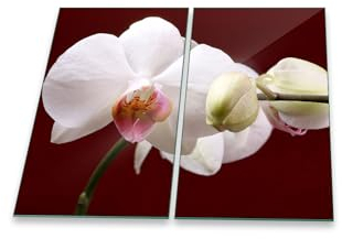 decorwelt | Herdabdeckplatten 2x30x52 cm Ceranfeldabdeckung 2-Teilig Universal Elektroherd Induktion für Kochplatten Herdschutz Deko Schneidebrett Sicherheitsglas Spritzschutz Glas Orchidee
