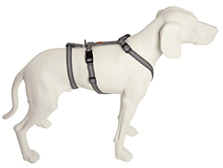 Feltmann No Exit ausbruchsicheres Hundegeschirr für Angsthund, Sicherheitsgeschirr für Pflegehunde, Panikgeschirr, Super Soft, Silber, Bauchumfang 55-75 cm, 20 mm Bandbreite