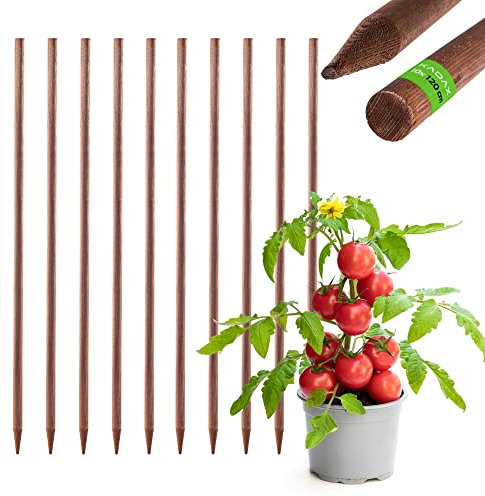 KADAX Tuteur en bois imprégné pour plantes grimpantes - Résistant aux intempéries - 10, 28 mm x 120 cm