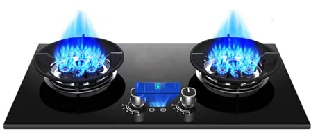 Cuisinière À Gaz Double Brûleur, Cuisinière Convertible GPL/GN, Support De Pot En Cuivre Moulé En Verre Trempé Noir Avec Protection Contre Les Flammes, Adapté À La Maison, Au Camping-car, Au Camping(L