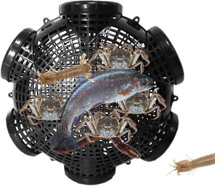 Eventerde Trampa de Cangrejo Trampa de Cangrejo con Agujeros de Pescado Jaula de Captura de Pescado PP Portátil para Atrapar Langosta Cangrejos Arenques Camarones Peces Pequeños