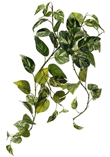 Regency International Natural Touch Variegated Pothos - Fake Hanging Plant - 27