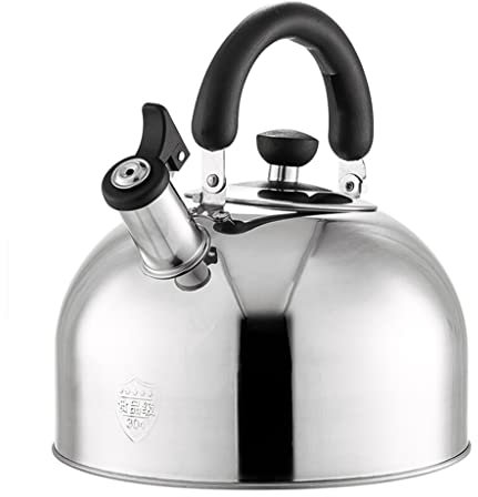 CAFIEDR Elektrischer Wasserkocher aus Edelstahl mit Pfeife, Teekanne, Verbrühungsschutz, Wasserkocher, Gas-/Induktionsherd, Teekanne in Lebensmittelqualität (B 3 l)
