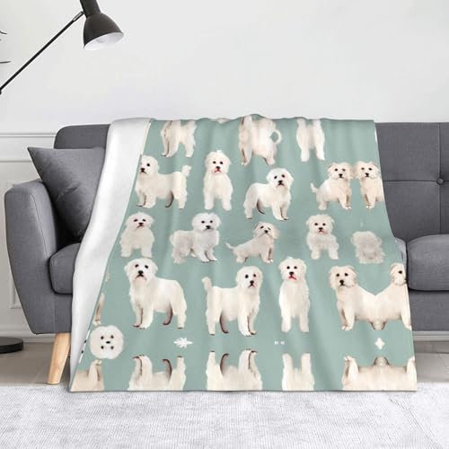WZYWHJ Flanelldecke mit kleinen weißen Hunden, weiche und strapazierfähige Winterdecke für Zuhause und Reisen