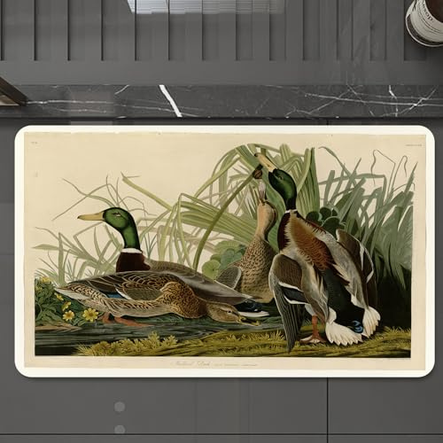 EMCLKS Bath Mat 60x90 cm,Extra Soft Absorbent Microfiber,Non-Slip Washable Rugs for Shower Floor,Wild ducks, reeds and ducks in the water in the natural habitat show the be,Bathmat Accessories Decor