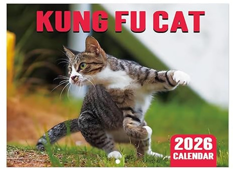 Mainiusi Kattkalender 2026, kalender 2026, väggkalender katter Kung Fu Cat kalender 2026, katter, kattkalender 2026, väggkalender katter, bordskalender 2026, för kontor, familjer, hotell
