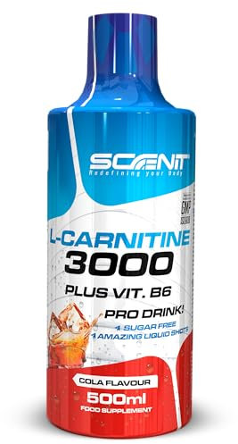 L Carnitine 3000 - L Carnitine - L-Carnitine - L Carnitine Liquide - Carnitine Liquide - LCarnitine - Carnitine Pure - L-Carnitine Liquide - 500 ml (Cola)