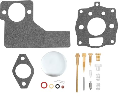 EMSea Kit de Réparation de Carburateur 394989 Kit de Réparation de Reconstruction de Carburateur de Réparation de Moteur Compatible avec Briggs & Stratton 10 11 16 Hp Carburateur de Moteur