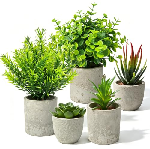 Der Rose 5 Pack Artificial Plants in Pots, Eucalyptus Rosemary Succulents | Five varied small faux succulents for renters and plant lovers, for office desks, bathroom shelves, bedrooms and living rooms
