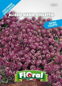 Sementi da fiore di qualità in bustina per uso amatoriale (ALISSO NANO VIOLETTO)