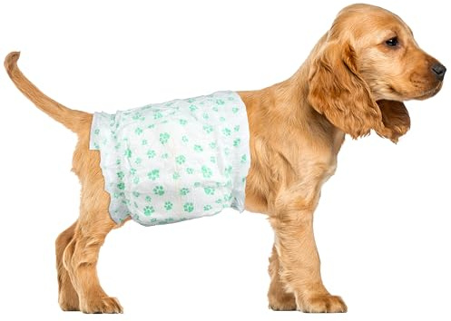 ScratchMe Einweg-Hundewindeln für Rüden, 40 Stück 56-71cm, Hochsaugfähige Rüdenwindeln mit Nässeindikator und Auslaufsicher, Extra Groß, weiß