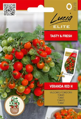 Lucia Elite | Semi di pomodoro Veranda Red H | Semi di ortaggi | Semi di pomodoro | Semi da giardino | Un precoce, di breve statura | Una pianta può produrre da 60 a 75 frutti | 1 confezione