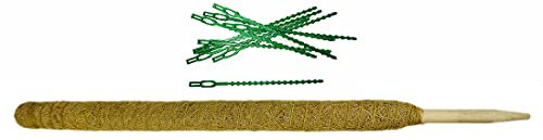 Novatool Varilla de coco de 110 cm, profesional, juego de fijación, unión para plantas, Monstera, tutor de fibra de coco, planta interior