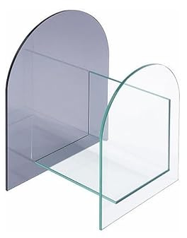Vente-unique - Zeitungsständer Dusilla -L 45cm x B 35cm x H 55cm- Glas - transparent, grau