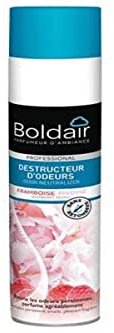 BOLDAIR - Désodorisant Framboise Pivoine - Destructeur d'Odeurs & Parfume l'Air - Fabriqué par Les Plus Grands Parfumeurs de Grasse - Made in France - Pulvérisateur 500 ml