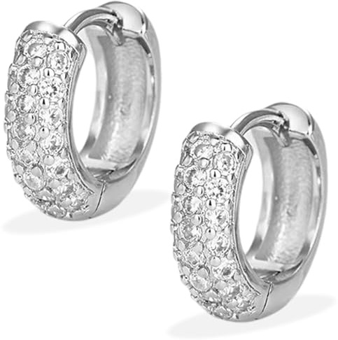 WOZNU Orecchini Donna Cerchio, Set Orecchini Donna Acciaio Chirurgico, Orecchini Donna Oro Oorecchini Cerchio Orecchini Uomo Cerchio Piccoli Earrings for Women Moda Argento 2