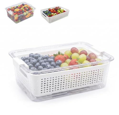 OCEANO Contenitore per Alimenti con Scolapasta Integrato Scatola Salva Freschezza per Frigorifero Organizer Frigo Trasparente con Cestello Estraibile per Frutta Verdura 31x20.5x10.5cm
