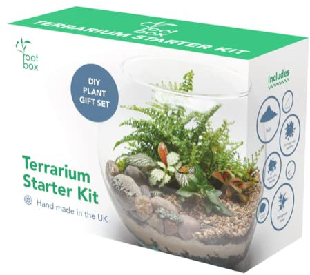 Root box CLEARANCE Organic Plant Terrarium Kit in scented giftbox | Succulents, Bonsai, Fittonia, Cactus | Unique DIY GIFT for XMAS Anniversaries Birthdays
