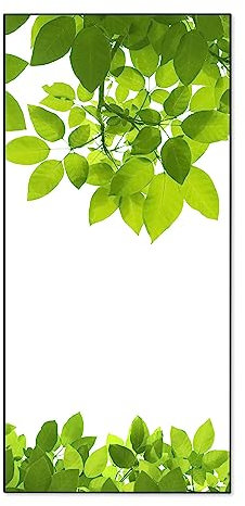 banjado® Magnettafel 37 x 78cm / Magnetwand aus Metall/Magnetpinnwand als Memoboard/Pinnwand Magnettafel Küche, Büro, Kinderzimmer inkl. 4 Magnete & Montageset - Motiv Rahmen Blätter