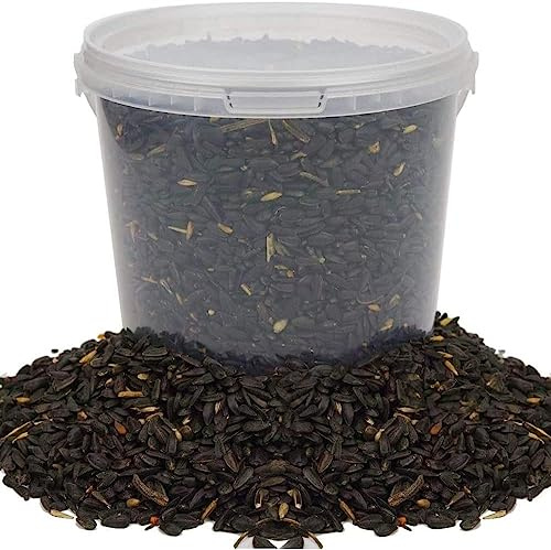 Graines de Tournesol Noir BusyBeaks - Nourriture Riche en Huile pour Oiseaux Sauvages de Jardin occupés (5L)