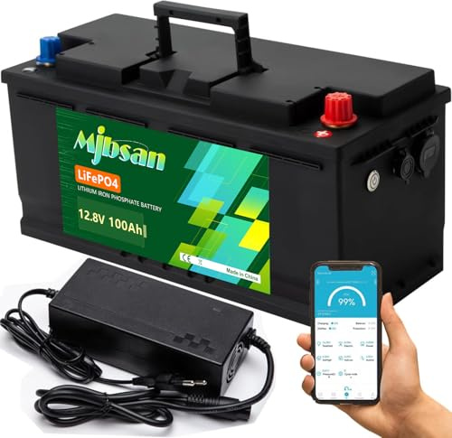 12 V 100 Ah LiFePO4 litiumbatteri för busbil, djupcykel-batteri, inbyggt 100 A BMS, 1 280 W uteffekt för husbilar, solcellsanläggningar, sjön, havet, energilagring hemma samt nätoberoende