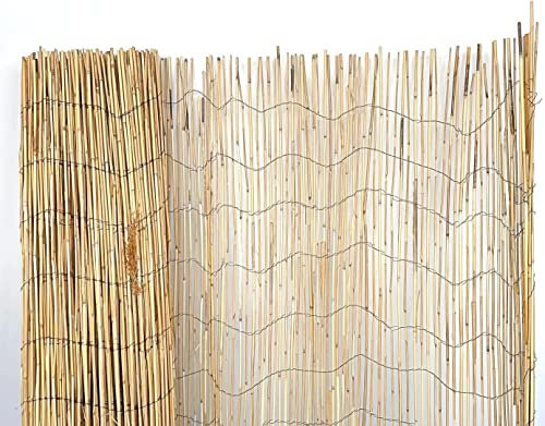 Mugar- Bambú Fino Natural en Rollos de 3 y 5 Metros - Vallas de Ocultación Naturales para Jardín- Varias Alturas (1,5 x 5 metros)