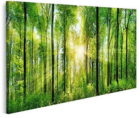 Bild auf Leinwand Panorama eines malerischen Waldes von Laubbäumen frisch grün mit der Sonne wirft seine Lichtstrahlen Drucke Kunst Poster Wandbild