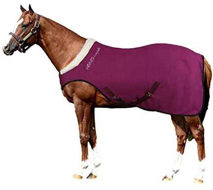 Horses, Pferdedecke Fleece Cosy Walk, Hervorragend Verarbeitete Decke, Nützlich zum Schutz des Pferdes vor Temperaturschwankungen, Regen und Insekten (Bordeaux, 155 cm)