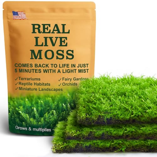 Live Moss – Thuidium Moss (3 Sheets, Each Approx. 3.5x7) for Terrariums, Bonsai, Plant Decor & Natural Crafts – Naturally Grown, Reusable, Not Artificial