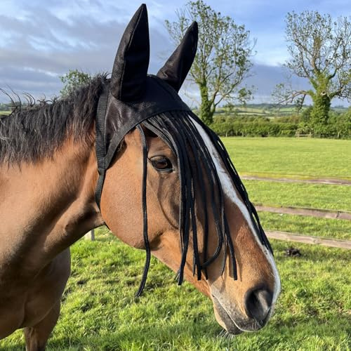 Ruggles Fly Fringe med nätöron för hästar och ponnyer – svart (Cob)