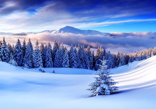 Wesmilewallpaper Papier Peint Panoramique 3D Forêt Neige Montagne Paysage Naturel Tapisserie Murales Papiers Peints Intissé Poster Mural 400X280Cm