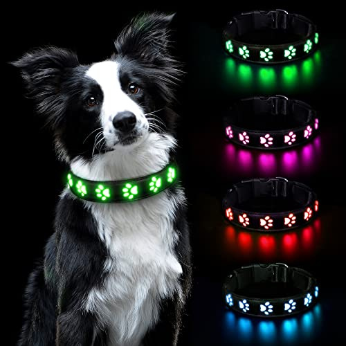 AUAUY LED Hundehalsband Leuchtend, Wasserdichtes, 3 Beleuchtungsmodi Grün-L | Einstellbar Sicherheit Kragen, Hunde Halsband, USB Wiederaufladbar, Wasserdichtes, für Kleine Mittlere Große Haustier