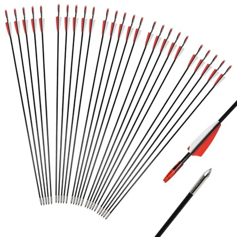 iMeshbean Fieberglaspfeile Pfeile für bogenschießen, 25 Stück Bogenpfeile Erwachsene 31 Zoll Fiberglaspfeil Jagdpfeile für Bogen, Recurvebogen, Sportbogen