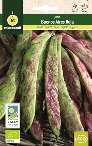 Mascarell Semillas, JUDIA BUENOS AIRES ROJA, Semillas Ecológicas, 15 Gramos