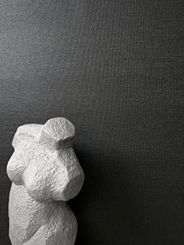 NEWROOM carta da parati Neri Tinta Unita Tessuto non Tessuto - Uni Antracite Struttura Tessile