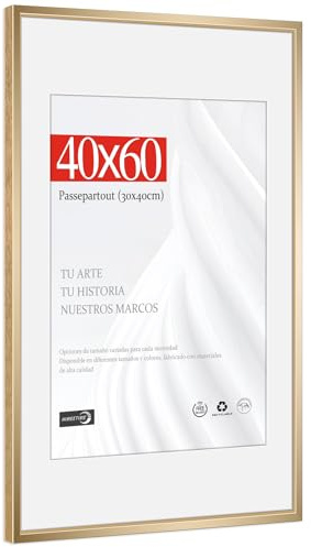 HIMEETIME® 1x Cornice per foto,40x60 cm,Alluminio spazzolato Metallo dorata champagne,Passepartout 30x40cm,Cornice 40x60cm Grande per Foto Disegni,Solo per Espositore a Parete