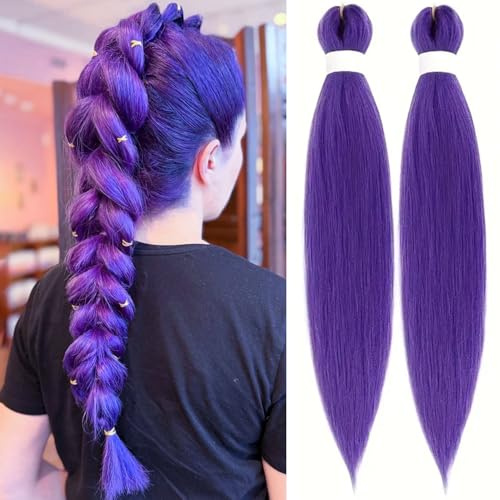 ColorfulPanda - 2 extension di capelli sintetici, 61 cm, 100 g, capelli Kanekalon, per trecce, torciglioni, uncinetto, colore viola scuro