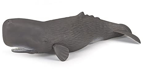 Papo - Große Tierfigur - Pottwal, Titan der Meereswelt, Bunte Figur für Kinder ab 3 Jahren - Unterwasserreisen und Entdeckung der Riesen der Ozeane