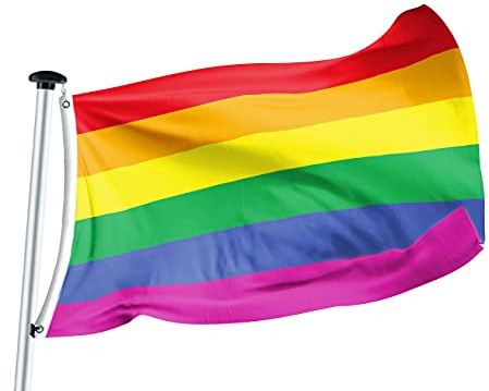 FLAGLY Premium Flagge Regenbogenfahne 100x150cm -115g/m² Stoffgewicht - gedruckt, robustes und witterungsbeständiges Glanzpolyester mit Ösen (100 x 150 cm, Regenbogenfahne)
