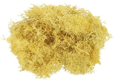PATIKIL 1.8 OZ Falso Musgo Conservado Reno Musgo Artificial Musgo Liquen Mesa Centros Decoración Imitación Musgo para Maceta Plantas Navidad Artesanía Amarillo