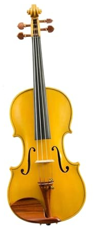 Anfänger Geige Violine 4/4 Braun Retro Öllack Handgefertigte Professionelle Violine Mit Koffer