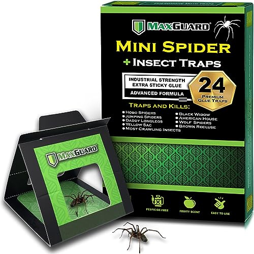 MaxGuard 24 Stück Mini-Spinnen- und Insektenfalle | Extra klebrige Klebefallen ungiftig | Fallen und tötet Hobo-Spinnen, Schwarze Witwen, Braune Einsiedlerspinnen und
