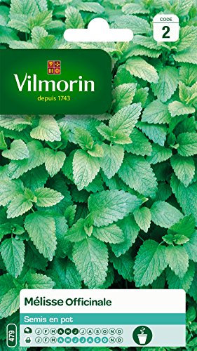 Vilmorin 5877046 - Melissa officinale, 9 x 0,5 x 16 cm, colore: Verde