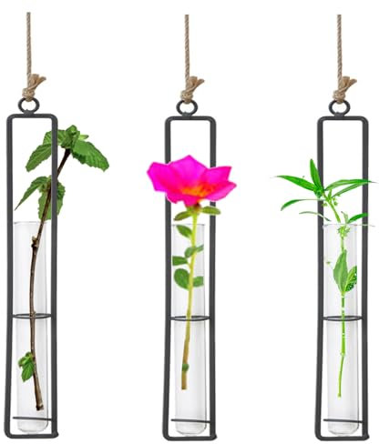 Vastsea 3 Pezzi Vaso Vetro in Ferro Battuto Creativo, Decorazione Piante Idroponiche Parete, Decorazione per Piante Sospese Soggiorno, Con corda di iuta, Applica a Decorazioni per la casa(22.5 x 4 cm)