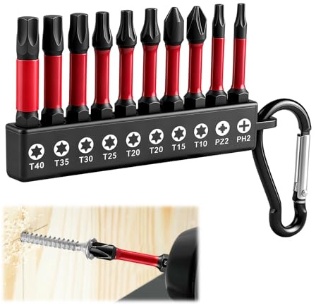 Industrielles Torx Bit Set 10tlg – S2 Legierter Stahl, Phosphatiert & Rostfrei, Bitsatz Magnetisch mit Starkem Halt, TorxBit T20, Torx Mit Loch Set, 1/4 Bitset Mit Karabiner