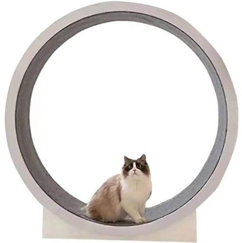 Katzentrainingsrad, Katzenlaufband, Katzenlaufbahn Mit Großem Durchmesser, Katzenlaufrad, Katzenrad Für Wohnungskatzen, Interaktives Katzenspielzeug Für Alle Katzen