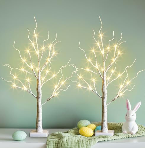 PEIDUO Home Decor, 2FT Birch Tree with LED Lights, Warm White Light up Tree Lamp, Artificial Trees for Home Table Inside, Battery Powered, Timer (2PK)