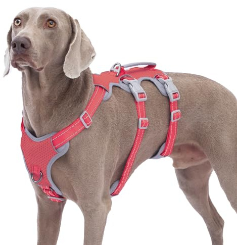 Huntboo Imbracature per cane a prova di fuga, pettorine sicure, pettorina riflettente con impugnatura imbottita, durevole, regolabile per cane di grossa taglia